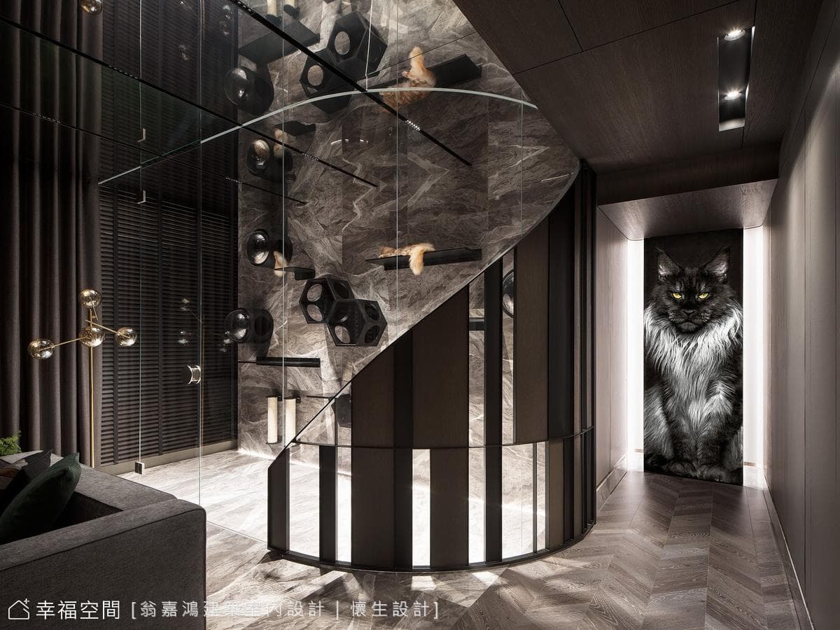 60.三重-Rm&Sanmu 緬因貓舍招待所-60坪-老屋翻新