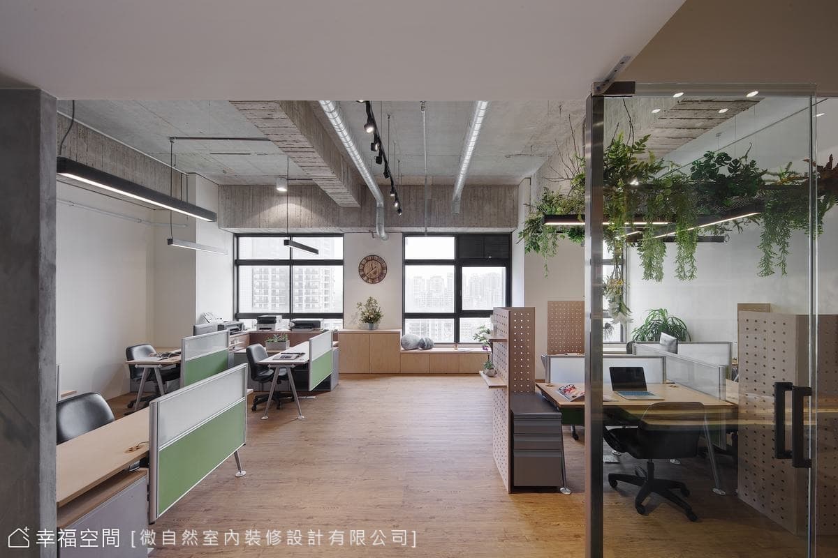 以植物為主角的森林系辦公室