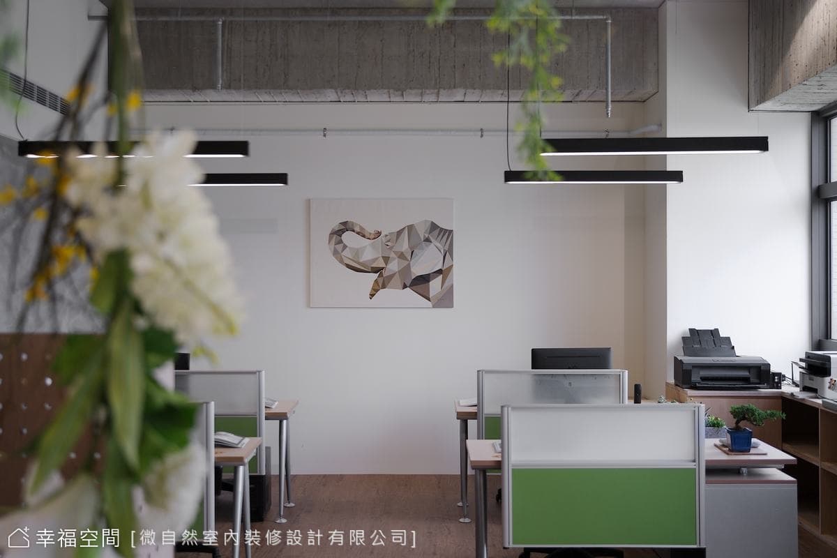 以植物為主角的森林系辦公室