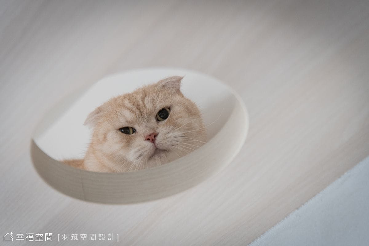 仁發富悅